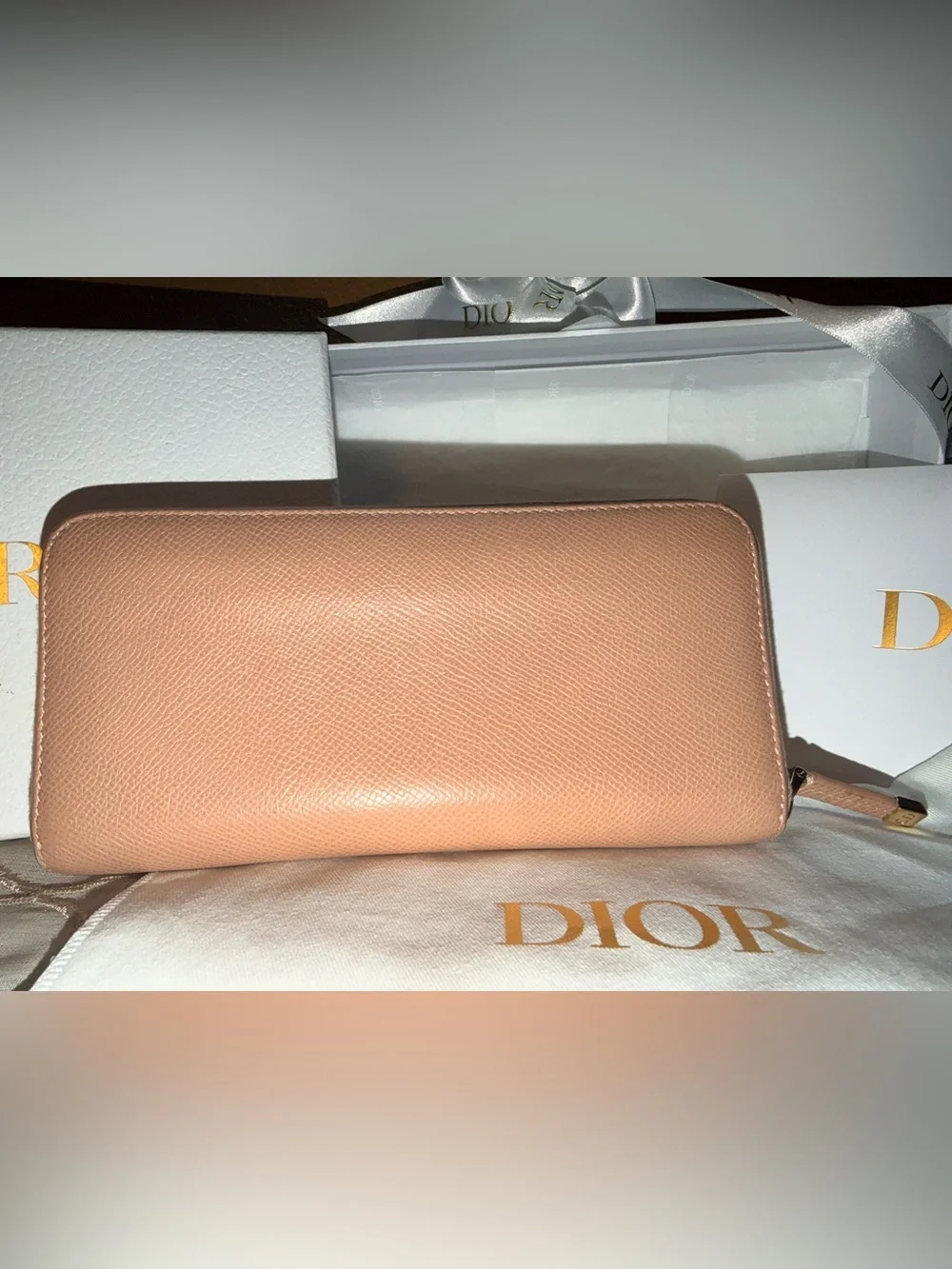 Dior Zip-Around Leather Wallet in Blush Pink